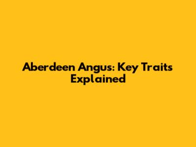 Aberdeen Angus: Key Traits Explained