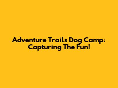 Adventure Trails Dog Camp: Capturing The Fun!