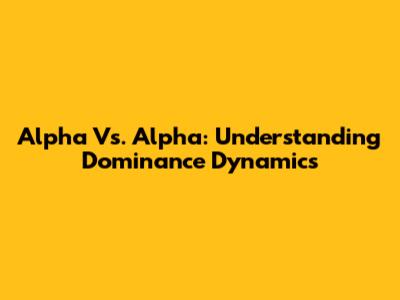 Alpha Vs. Alpha: Understanding Dominance Dynamics