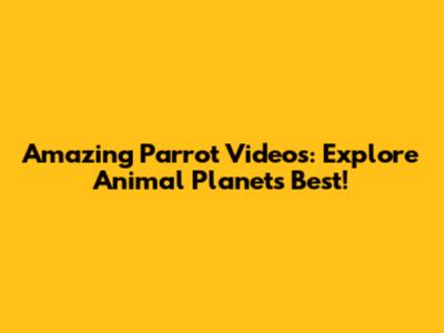 Amazing Parrot Videos: Explore Animal Planet's Best!