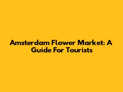Amsterdam Flower Market: A Guide For Tourists