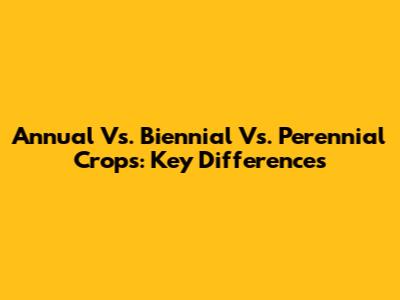 Annual Vs. Biennial Vs. Perennial Crops: Key Differences