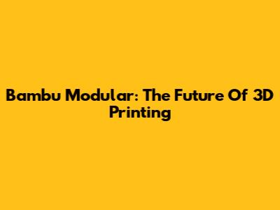 Bambu Modular: The Future Of 3D Printing