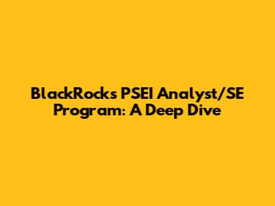 BlackRock's PSEI Analyst/SE Program: A Deep Dive