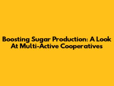 Boosting Sugar Production: A Look At Multi-Active Cooperatives