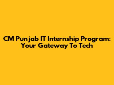CM Punjab IT Internship Program: Your Gateway To Tech