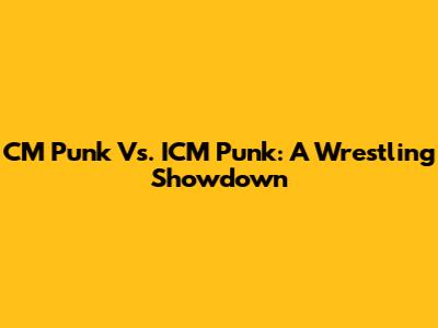 CM Punk Vs. ICM Punk: A Wrestling Showdown