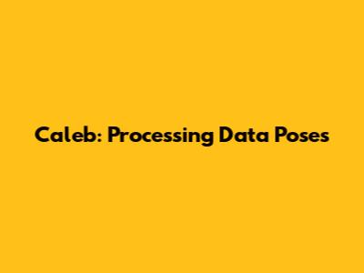 Caleb: Processing Data Poses