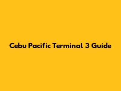 Cebu Pacific Terminal 3 Guide