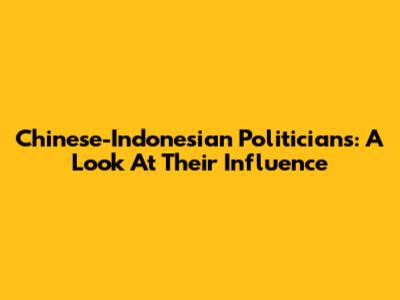 Chinese-Indonesian Politicians: A Look At Their Influence