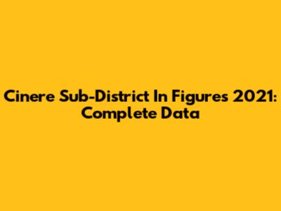 Cinere Sub-District In Figures 2021: Complete Data