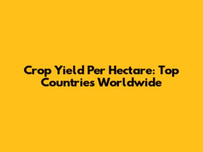 Crop Yield Per Hectare: Top Countries Worldwide