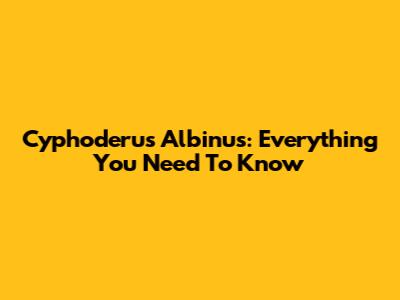 Cyphoderus Albinus: Everything You Need To Know
