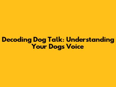 Decoding Dog Talk: Understanding Your Dog's Voice