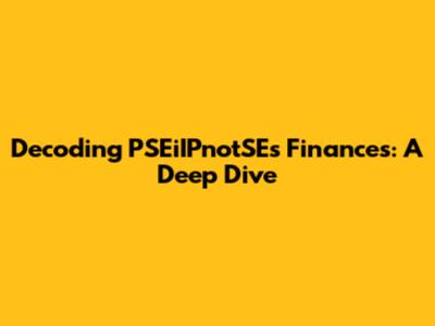 Decoding PSEiIPnotSE's Finances: A Deep Dive