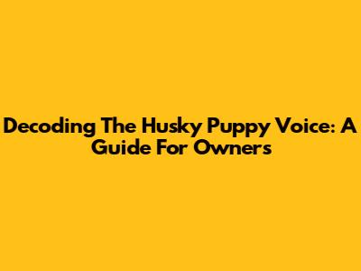 Decoding The Husky Puppy Voice: A Guide For Owners