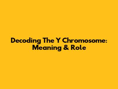 Decoding The Y Chromosome: Meaning & Role