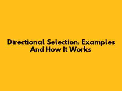 Directional Selection: Examples And How It Works