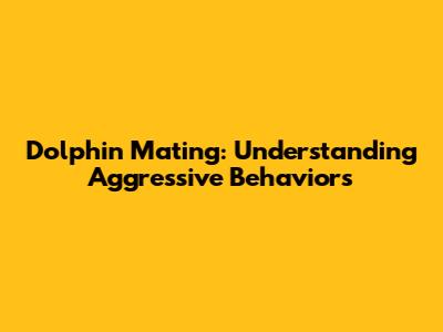 Dolphin Mating: Understanding Aggressive Behaviors
