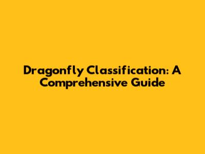 Dragonfly Classification: A Comprehensive Guide