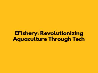 EFishery: Revolutionizing Aquaculture Through Tech