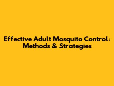 Effective Adult Mosquito Control: Methods & Strategies