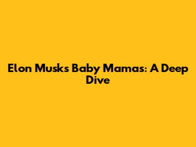Elon Musk's Baby Mamas: A Deep Dive