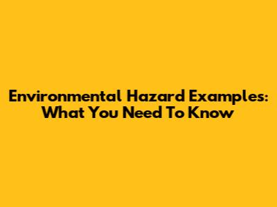 Environmental Hazard Examples: What You Need To Know