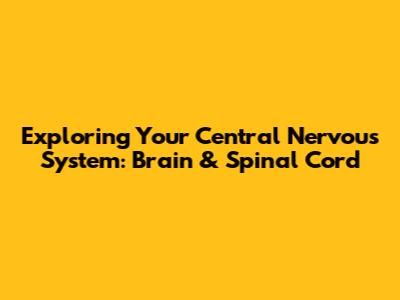 Exploring Your Central Nervous System: Brain & Spinal Cord