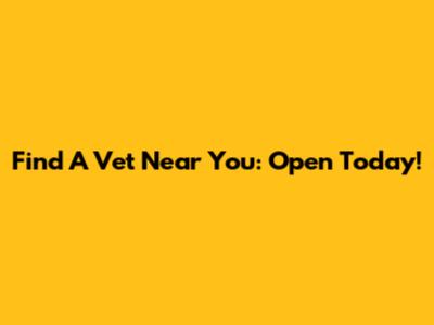 Find A Vet Near You: Open Today!