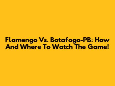 Flamengo Vs. Botafogo-PB: How And Where To Watch The Game!