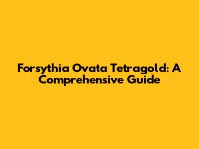 Forsythia Ovata Tetragold: A Comprehensive Guide