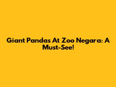 Giant Pandas At Zoo Negara: A Must-See!