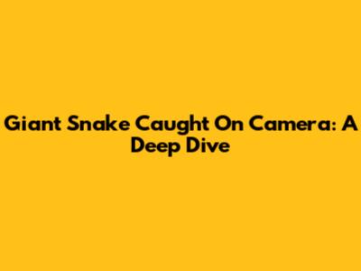 Giant Snake Caught On Camera: A Deep Dive