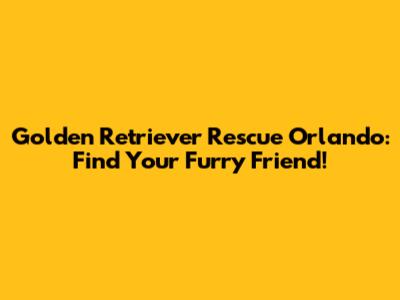 Golden Retriever Rescue Orlando: Find Your Furry Friend!