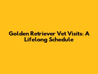 Golden Retriever Vet Visits: A Lifelong Schedule