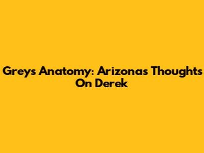 Grey's Anatomy: Arizona's Thoughts On Derek