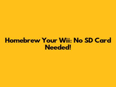 Homebrew Your Wii: No SD Card Needed!