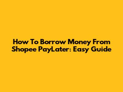 How To Borrow Money From Shopee PayLater: Easy Guide