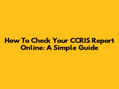 How To Check Your CCRIS Report Online: A Simple Guide