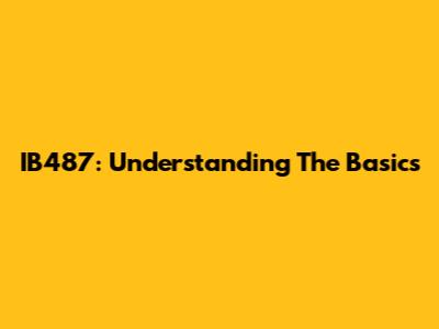 IB487: Understanding The Basics