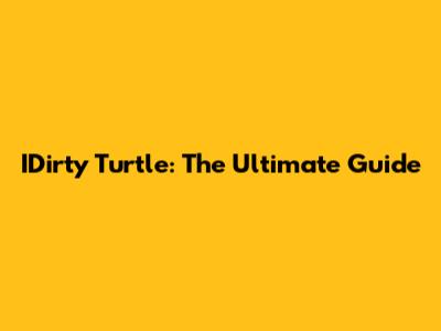 IDirty Turtle: The Ultimate Guide