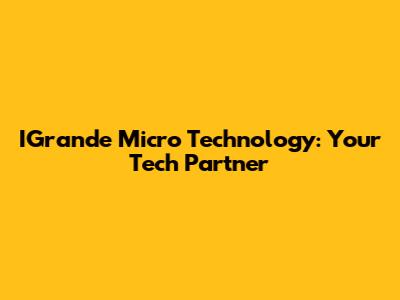 IGrande Micro Technology: Your Tech Partner