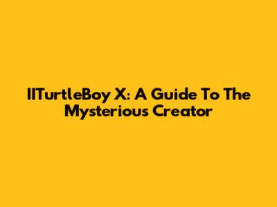 IITurtleBoy X: A Guide To The Mysterious Creator