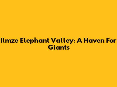 Ilmze Elephant Valley: A Haven For Giants