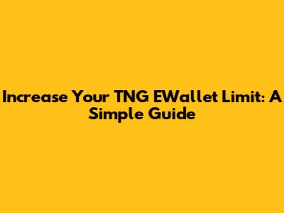 Increase Your TNG EWallet Limit: A Simple Guide