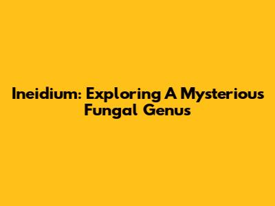Ineidium: Exploring A Mysterious Fungal Genus
