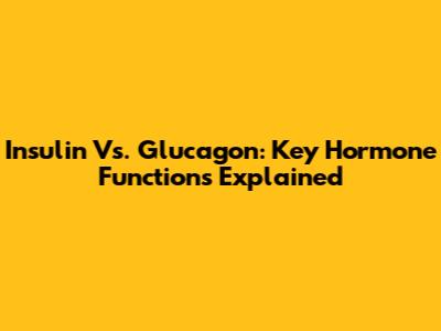 Insulin Vs. Glucagon: Key Hormone Functions Explained