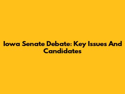 Iowa Senate Debate: Key Issues And Candidates