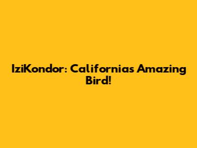 IziKondor: California's Amazing Bird!